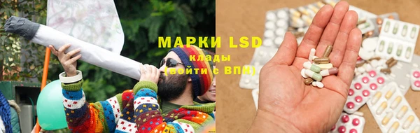 стаф Аркадак