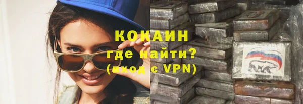 прущие грибы Армянск