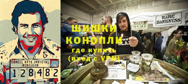 прущие грибы Армянск