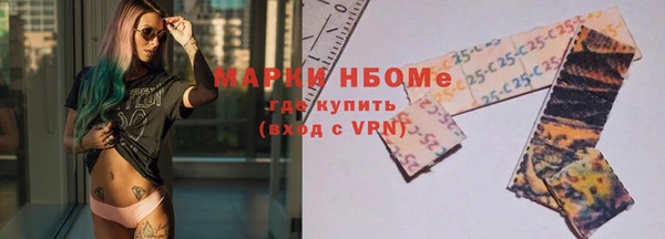 стаф Аркадак