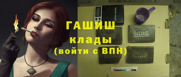 стаф Аркадак