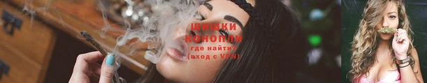 стаф Аркадак