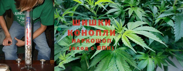 стаф Аркадак