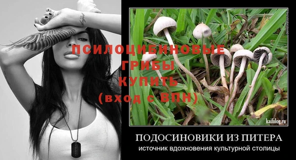 прущие грибы Армянск