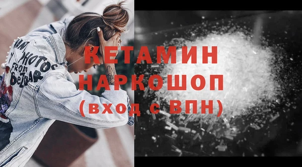 стаф Аркадак