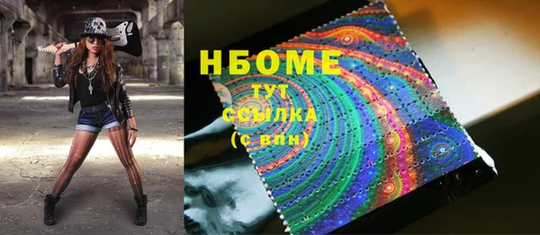 стаф Аркадак