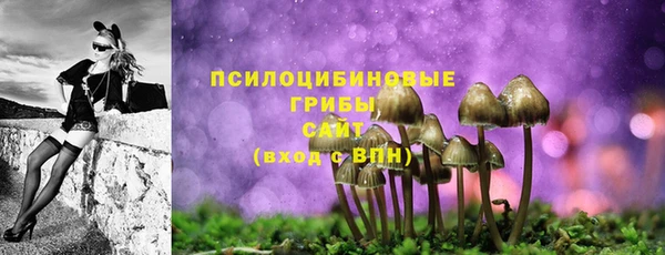 не бодяженный Алзамай