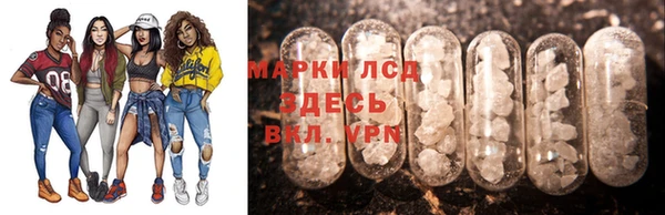 стаф Аркадак