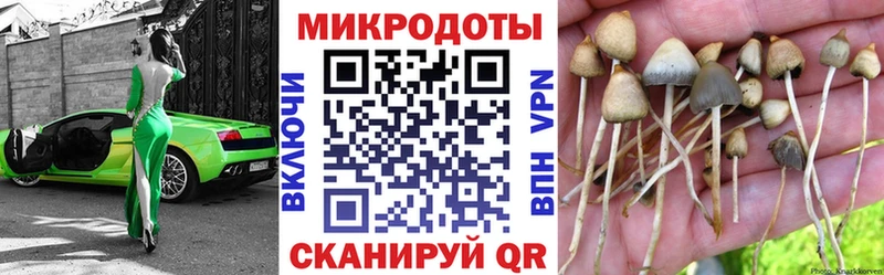 как найти   Островной  Псилоцибиновые грибы Psilocybe 
